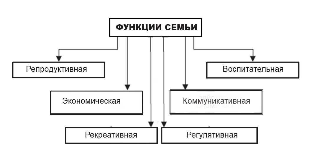 Функции семьи презентация